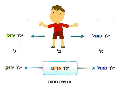 (בספר איור, היעזר במנחה)